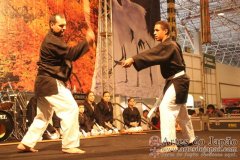 Festival do Japao 2012 - Dia 2 - 1181