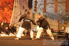Festival do Japao 2012 - Dia 2 - 1182