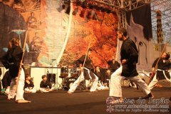Festival do Japao 2012 - Dia 2 - 1190