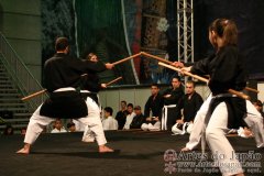 Festival do Japao 2012 - Dia 2 - 1192