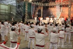 Festival do Japao 2012 - Dia 3 - 0009