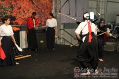 Festival do Japao 2012 - Dia 3 - 0051