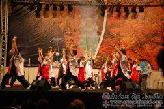 Festival do Japao 2012 - Dia 3 - 0057