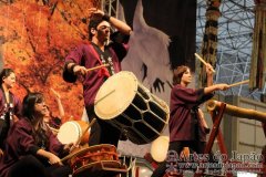 Festival do Japao 2012 - Dia 3 - 0976