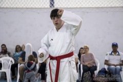 Festival E Torneio De Karate-Do Para Crianças E Exame De FaixasAssociação Shizuoka Goju-Kan Do Brasil