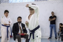 Festival E Torneio De Karate-Do Para Crianças E Exame De FaixasAssociação Shizuoka Goju-Kan Do Brasil