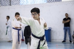 Festival E Torneio De Karate-Do Para Crianças E Exame De FaixasAssociação Shizuoka Goju-Kan Do Brasil