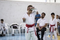 Festival E Torneio De Karate-Do Para Crianças E Exame De FaixasAssociação Shizuoka Goju-Kan Do Brasil