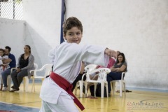 Festival E Torneio De Karate-Do Para Crianças E Exame De FaixasAssociação Shizuoka Goju-Kan Do Brasil