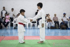 Festival E Torneio De Karate-Do Para Crianças E Exame De FaixasAssociação Shizuoka Goju-Kan Do Brasil