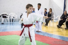 Festival E Torneio De Karate-Do Para Crianças E Exame De FaixasAssociação Shizuoka Goju-Kan Do Brasil