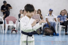 Festival E Torneio De Karate-Do Para Crianças E Exame De FaixasAssociação Shizuoka Goju-Kan Do Brasil