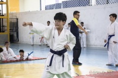 Festival E Torneio De Karate-Do Para Crianças E Exame De FaixasAssociação Shizuoka Goju-Kan Do Brasil