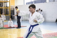 Festival E Torneio De Karate-Do Para Crianças E Exame De FaixasAssociação Shizuoka Goju-Kan Do Brasil