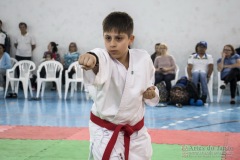 Festival E Torneio De Karate-Do Para Crianças E Exame De FaixasAssociação Shizuoka Goju-Kan Do Brasil