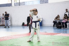 Festival E Torneio De Karate-Do Para Crianças E Exame De FaixasAssociação Shizuoka Goju-Kan Do Brasil