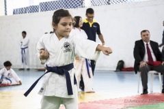 Festival E Torneio De Karate-Do Para Crianças E Exame De FaixasAssociação Shizuoka Goju-Kan Do Brasil