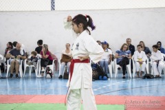 Festival E Torneio De Karate-Do Para Crianças E Exame De FaixasAssociação Shizuoka Goju-Kan Do Brasil