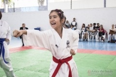 Festival E Torneio De Karate-Do Para Crianças E Exame De FaixasAssociação Shizuoka Goju-Kan Do Brasil