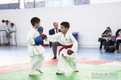 Festival E Torneio De Karate-Do Para Crianças E Exame De FaixasAssociação Shizuoka Goju-Kan Do Brasil