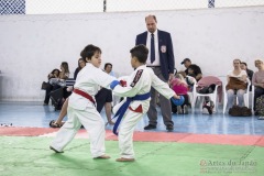 Festival E Torneio De Karate-Do Para Crianças E Exame De FaixasAssociação Shizuoka Goju-Kan Do Brasil