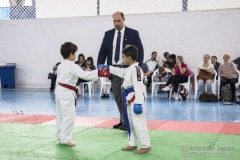 Festival E Torneio De Karate-Do Para Crianças E Exame De FaixasAssociação Shizuoka Goju-Kan Do Brasil