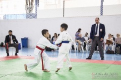 Festival E Torneio De Karate-Do Para Crianças E Exame De FaixasAssociação Shizuoka Goju-Kan Do Brasil