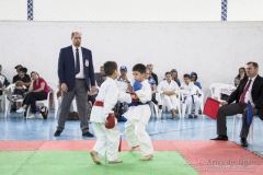 Festival E Torneio De Karate-Do Para Crianças E Exame De FaixasAssociação Shizuoka Goju-Kan Do Brasil