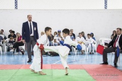 Festival E Torneio De Karate-Do Para Crianças E Exame De FaixasAssociação Shizuoka Goju-Kan Do Brasil