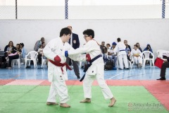 Festival E Torneio De Karate-Do Para Crianças E Exame De FaixasAssociação Shizuoka Goju-Kan Do Brasil