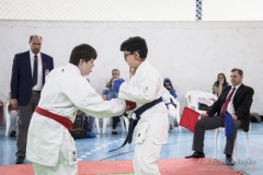 Festival E Torneio De Karate-Do Para Crianças E Exame De FaixasAssociação Shizuoka Goju-Kan Do Brasil