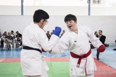 Festival E Torneio De Karate-Do Para Crianças E Exame De FaixasAssociação Shizuoka Goju-Kan Do Brasil