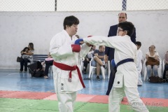 Festival E Torneio De Karate-Do Para Crianças E Exame De FaixasAssociação Shizuoka Goju-Kan Do Brasil