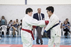 Festival E Torneio De Karate-Do Para Crianças E Exame De FaixasAssociação Shizuoka Goju-Kan Do Brasil