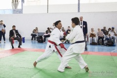 Festival E Torneio De Karate-Do Para Crianças E Exame De FaixasAssociação Shizuoka Goju-Kan Do Brasil