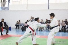 Festival E Torneio De Karate-Do Para Crianças E Exame De FaixasAssociação Shizuoka Goju-Kan Do Brasil