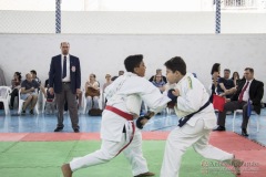 Festival E Torneio De Karate-Do Para Crianças E Exame De FaixasAssociação Shizuoka Goju-Kan Do Brasil