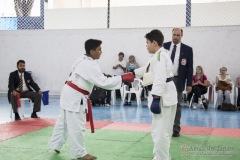 Festival E Torneio De Karate-Do Para Crianças E Exame De FaixasAssociação Shizuoka Goju-Kan Do Brasil