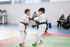 Festival E Torneio De Karate-Do Para Crianças E Exame De FaixasAssociação Shizuoka Goju-Kan Do Brasil