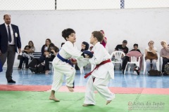 Festival E Torneio De Karate-Do Para Crianças E Exame De FaixasAssociação Shizuoka Goju-Kan Do Brasil