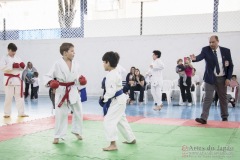 Festival E Torneio De Karate-Do Para Crianças E Exame De FaixasAssociação Shizuoka Goju-Kan Do Brasil