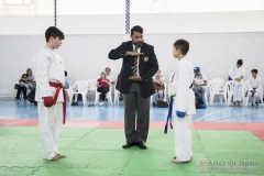 Festival E Torneio De Karate-Do Para Crianças E Exame De FaixasAssociação Shizuoka Goju-Kan Do Brasil