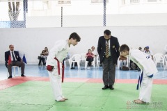 Festival E Torneio De Karate-Do Para Crianças E Exame De FaixasAssociação Shizuoka Goju-Kan Do Brasil