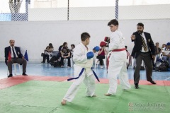 Festival E Torneio De Karate-Do Para Crianças E Exame De FaixasAssociação Shizuoka Goju-Kan Do Brasil