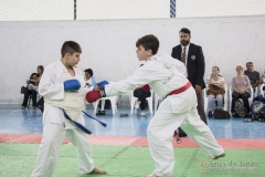 Festival E Torneio De Karate-Do Para Crianças E Exame De FaixasAssociação Shizuoka Goju-Kan Do Brasil