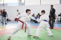 Festival E Torneio De Karate-Do Para Crianças E Exame De FaixasAssociação Shizuoka Goju-Kan Do Brasil