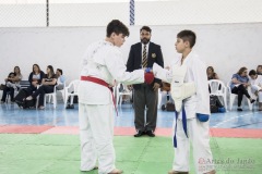 Festival E Torneio De Karate-Do Para Crianças E Exame De FaixasAssociação Shizuoka Goju-Kan Do Brasil