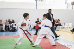 Festival E Torneio De Karate-Do Para Crianças E Exame De FaixasAssociação Shizuoka Goju-Kan Do Brasil