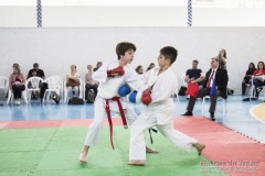 Festival E Torneio De Karate-Do Para Crianças E Exame De FaixasAssociação Shizuoka Goju-Kan Do Brasil