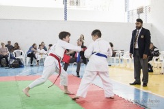 Festival E Torneio De Karate-Do Para Crianças E Exame De FaixasAssociação Shizuoka Goju-Kan Do Brasil